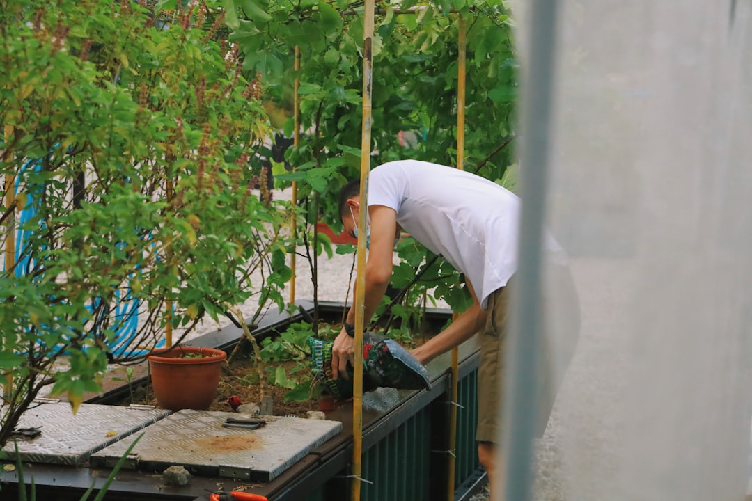 caring for native plants on Singapore balcony during the southwest monsoon season.